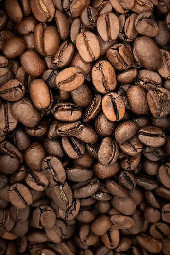 Food, Coffee, Macro, Grains, Coffee Beans, Grain HD phone wallpaper