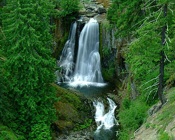 Little Goose Creek, falls, trees, water, rock HD wallpaper