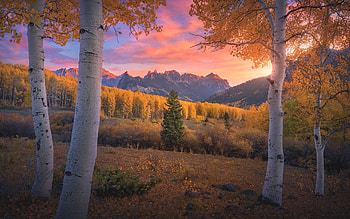 Autumn in Colorado, USA, America, Colorado, autumn, fields, birches, mountains HD wallpaper