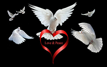 Peace, Love, Background HD wallpaper