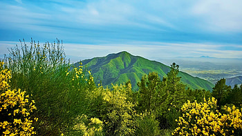Big Bear Mountain, blossoms, yellow, landscape, clouds, USA, sky, flowers, California HD wallpaper