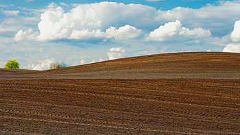 Plowed field, Farms HD wallpaper