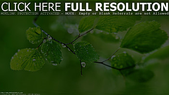 Nature for 3D Nature Beautiful for Laptop PC HD wallpaper