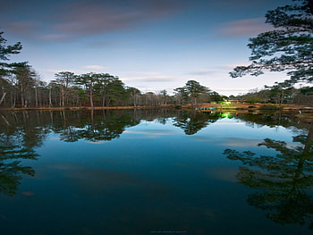 Nightfall on Ga Pond in Winter, winter, nightfall, pond HD wallpaper