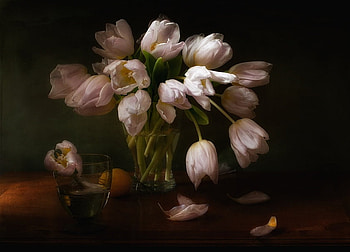 still life, vase, flowers, tulips HD wallpaper