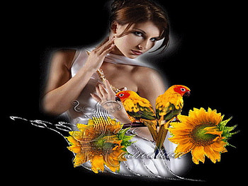 summer beauty, parrots, woman, sunflower, beauty HD wallpaper