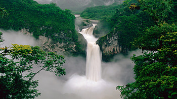 Green Forest Waterfall, green, forest, waterfall, nature HD wallpaper