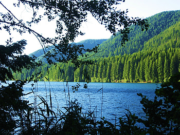 Landscape, Nature, Mountains, Lake, Forest, Branches HD wallpaper