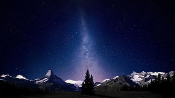 milky way, august, sky, fir-trees, trees, night HD wallpaper