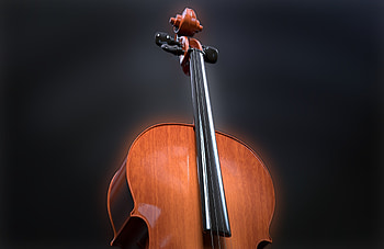 Violin, musical instrument, portrait HD wallpaper
