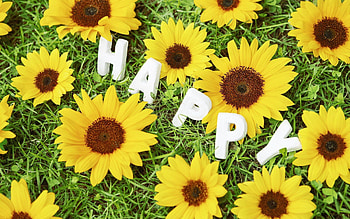 Happy, Other, background, Uplifting HD wallpaper