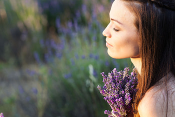 * Memories *, dreamer, purple, flowers, girl, memories HD wallpaper