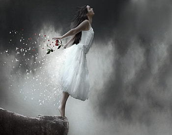 On The Edge, butterflies, roses, white dress, cliff, woman HD wallpaper
