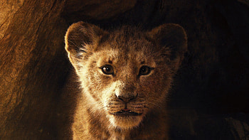 The Lion King 2019, the-lion-king, lion, 2019-movies, movies, disney, simba HD wallpaper