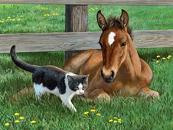 Butterfly Facination F2, kitten, horse, art, landscape, feline, cat, artwork, scenery, wide screen, painting, butterfly, equine, pet, foal HD wallpaper