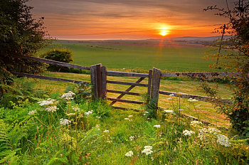 Summer field at sunrise, sunshine, rays, morning, sunlight, glow, meadow, beautiful, grass, sunrise, summer, wildflowers, field, fence, sky, sunset HD wallpaper