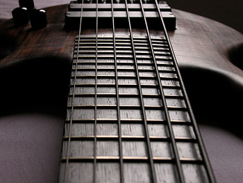 Bass guitar , gets, Low-frequency power, Rhythmic backbone HD wallpaper