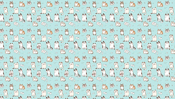 Texture, pisica, blue, white, cat, paper, pattern HD wallpaper