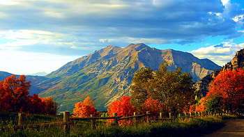 Fall Season, fence, clouds, trees, colors, autumn, landscape, sky HD wallpaper