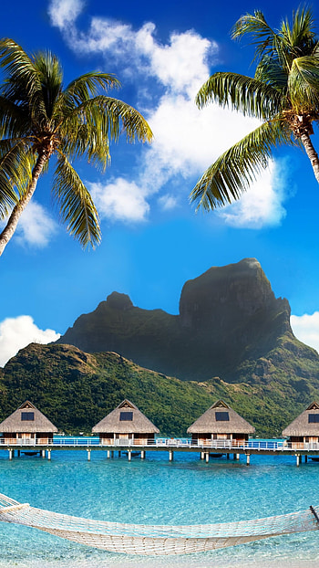 Bora Bora, , Best beaches, Palm trees hammock HD phone wallpaper