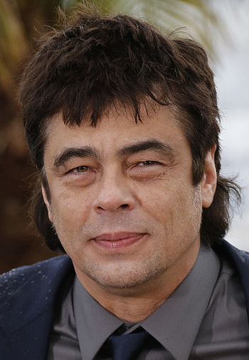 Benicio Del Toro, Admirer's collection, , Fan showcase HD phone wallpaper