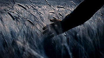 Gladiator, Action-packed drama, Historical accuracy, Immersive atmosphere HD wallpaper
