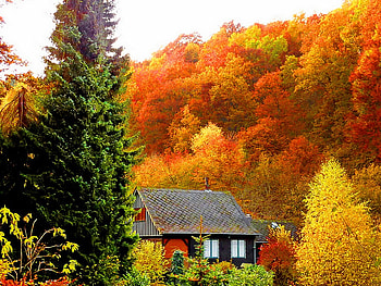 Small house on a hillside, house, fall, small, mountain, red, autumn, hillside, nature, hill HD wallpaper