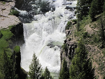 Lower Mesa Idaho, falls, trees, water, rock HD wallpaper