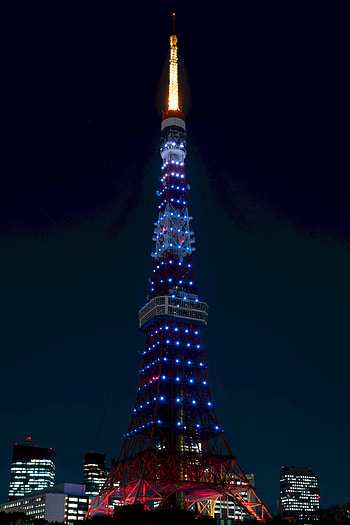 Cities, Architecture, Night City, City Lights, Japan, Tower, Tokyo HD phone wallpaper
