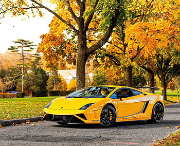 Lamborghini Gallardo, yellow sports car HD wallpaper