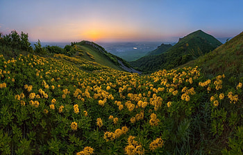 Hills in bloom, sky, flowers, hills, sunset HD wallpaper
