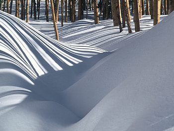Nature, Forest, Drifts, Shadows HD wallpaper