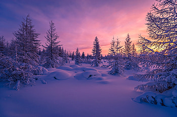 Purple sunset, Winter, Nature, Sunset, Purple HD wallpaper