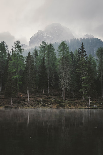 Landscape, Nature, Trees, Mountains, Lake, Fog HD phone wallpaper