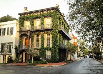 Savannah, Locals guide, Fun things to do HD wallpaper