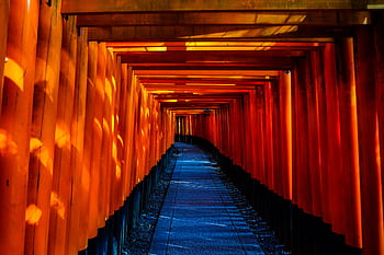 Explore the stunning orange torii gates of Fushimi Inari Taisha in Kyoto, Japan. HD wallpaper