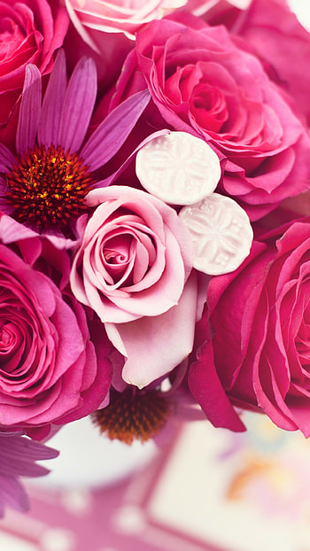 Garden roses, , Flower bouquet, Pink nature HD phone wallpaper
