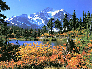 MOUNTAINS OF FALL, flower, snow, trees, nature, mountains, water HD wallpaper