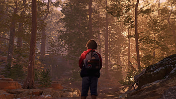 As Dusk Falls Game Scenery - Forest Adventure, video game, As Dusk Falls HD wallpaper