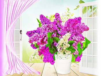 Spring Breeze, Lilacs, Breeze, Spring, Window HD wallpaper