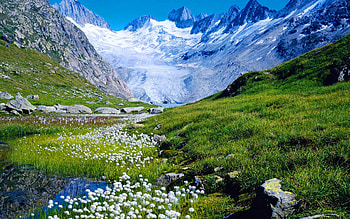 Spring is Coming, field, flowers, Mountian, Spring, water, stream HD wallpaper