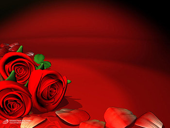 TINY RED ROSE PETALS, , roses, tiny, red HD wallpaper