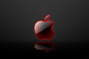 Glass apple, Reflective beauty, Transparent elegance, Crystal-clear ry HD wallpaper