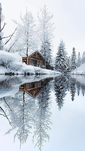 Winter, White Snow HD phone wallpaper