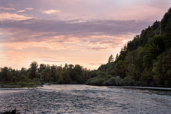 Nature, Water, Rivers, Trees, Shore, Bank HD wallpaper