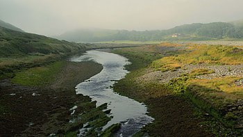 River Water Stream Between Green Bushes Grass Trees Forest With Fog Nature HD wallpaper