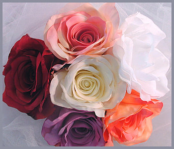 Your choice, white, coral, roses, colors, purple, pink, red, flowers, cream HD wallpaper