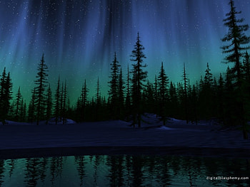 Landscape, Trees, Sky, Night HD wallpaper