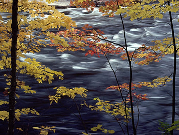 Autumn Colors A Rushing River, river, autumn, colors HD wallpaper