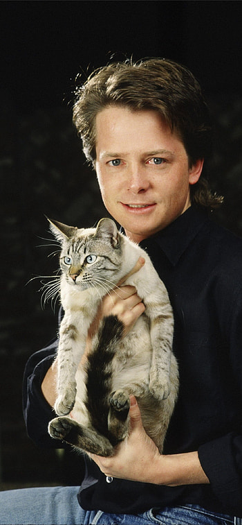 Michael J. Fox, Movies legend, , Top choice HD phone wallpaper